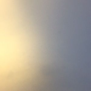 Meet your Posher, Ava